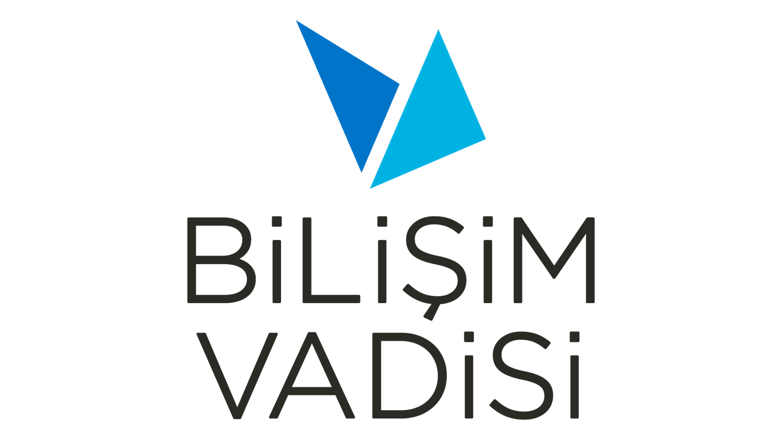 BİLİŞİM VADİSİ